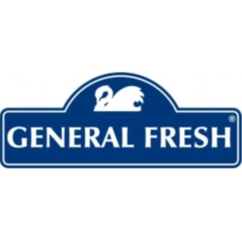 General Fresh Płyn Do Czyszczenia       